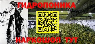 крисы Волгодонск